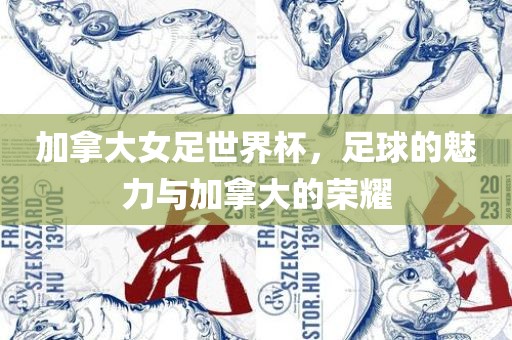 加拿大女足世界杯，足球的魅力与加拿大的荣耀