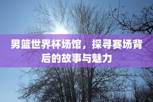 男篮世界杯场馆，探寻赛场背后的故事与魅力