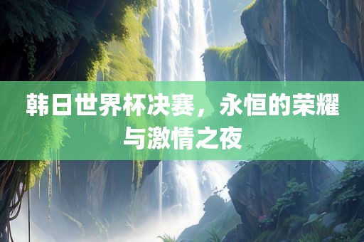 韩日世界杯决赛，永恒的荣耀与激情之夜
