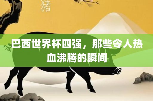 巴西世界杯四强，那些令人热血沸腾的瞬间洛阳市法福文化传播有限公司