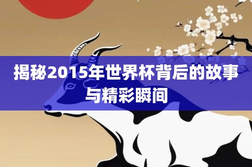 揭秘2015年世界杯背后的故事与精彩瞬间洛阳市法福文化传播有限公司