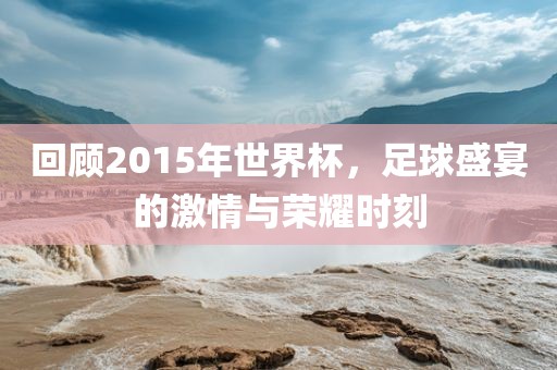 回顾2015年世界杯，足球盛宴的激情与荣耀时刻洛阳市法福文化传播有限公司