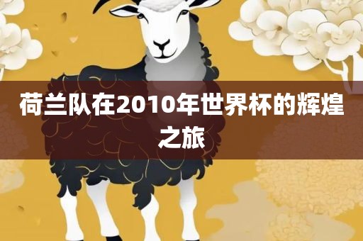 荷兰队在2010年世界杯的辉煌之旅