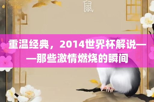 重温经典，2014世界杯解说——那些激情燃烧的瞬间