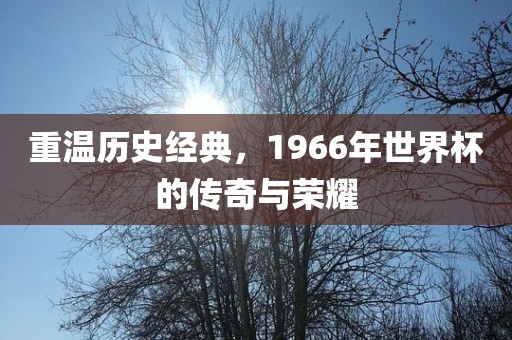 重温历史经典，1966年世界杯的传奇与荣耀