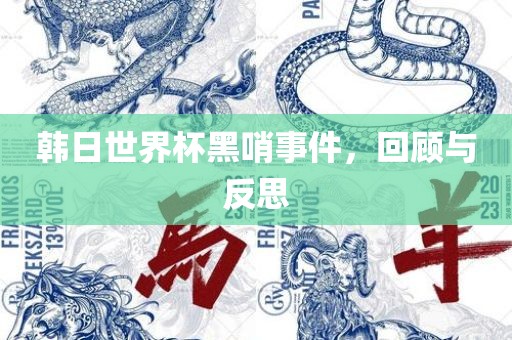 韩日世界杯黑哨事件，回顾与反思