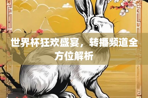 世界杯狂欢盛宴，转播频道全方位解析洛阳市法福文化传播有限公司