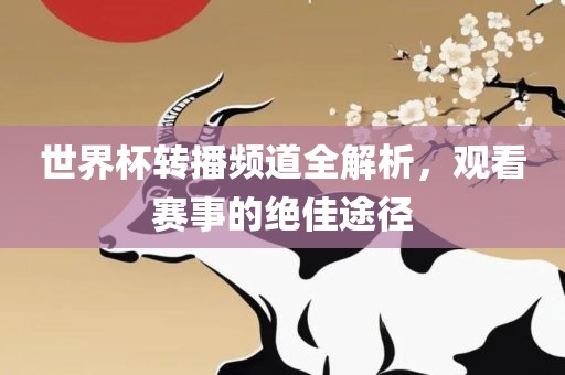 世界杯转播频道全解析，观看赛事的绝佳途径