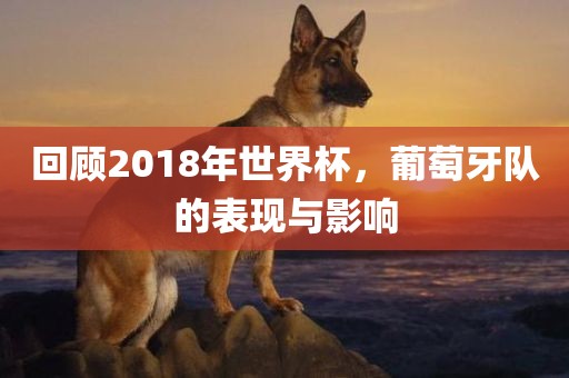 回顾2018年世界杯，葡萄牙队的表现与影响