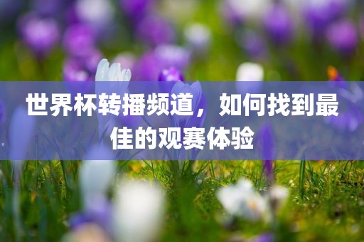 世界杯转播频道，如何找到最佳的观赛体验