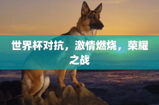 世界杯对抗，激情燃烧，荣耀之战