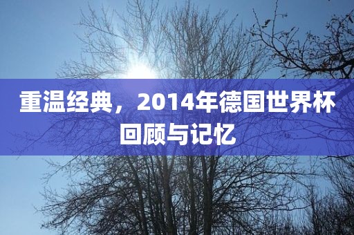 重温经典，2014年德国世界杯回顾与记忆