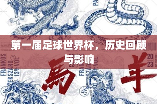 第一届足球世界杯，历史回顾与影响洛阳市法福文化传播有限公司