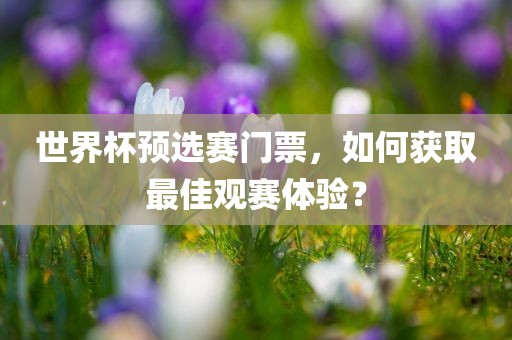世界杯预选赛门票，如何获取最佳观赛体验？