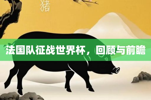 法国队征战世界杯，回顾与前瞻