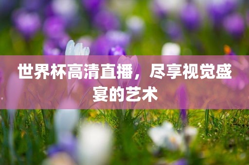 世界杯高清直播，尽享视觉盛宴的艺术