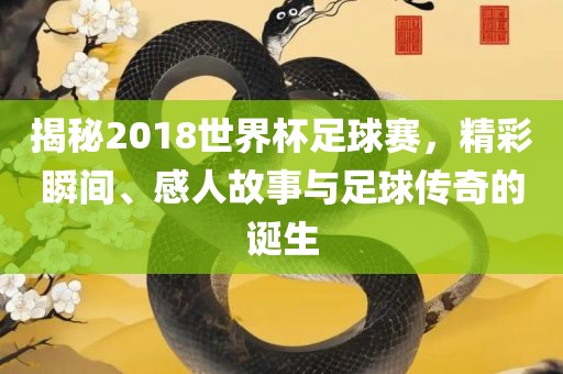 揭秘2018世界杯足球赛，精彩瞬间、感人故事与足球传奇的诞生洛阳市法福文化传播有限公司