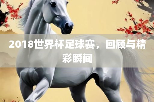 2018世界杯足球赛，回顾与精彩瞬间