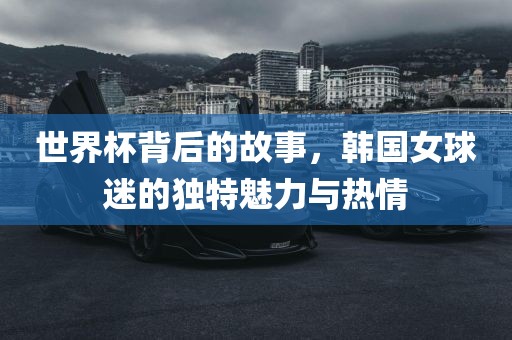 世界杯背后的故事，韩国女球迷的独特魅力与热情洛阳市法福文化传播有限公司