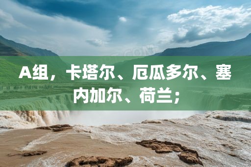 A组，卡塔尔、厄瓜多尔、塞内加尔、荷兰；