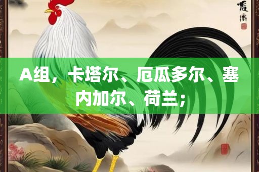 A组，卡塔尔、厄瓜多尔、塞内加尔、荷兰；