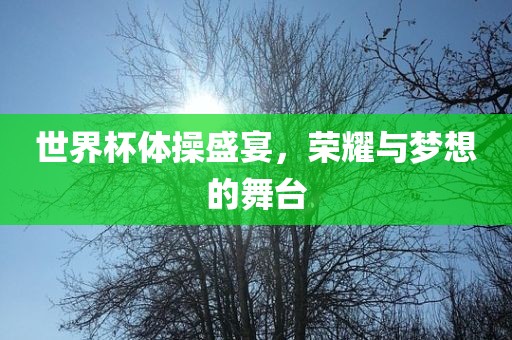 世界杯体操盛宴，荣耀与梦想的舞台