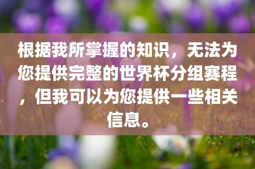 根据我所掌握的知识，无法为您提供完整的世界杯分组赛程，但我可以为您提供一些相关信息。