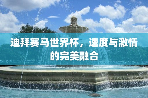 迪拜赛马世界杯，速度与激情的完美融合洛阳市法福文化传播有限公司