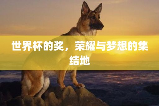 世界杯的奖，荣耀与梦想的集结地