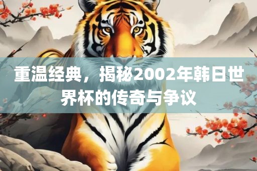 重温经典，揭秘2002年韩日世界杯的传奇与争议
