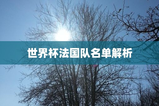 世界杯法国队名单解析