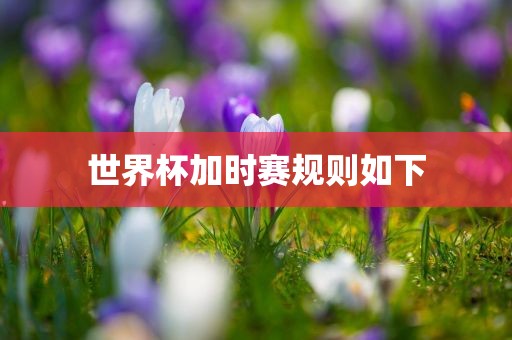 lulan 第5页