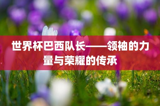 世界杯洛阳市法福文化传播有限公司巴西队长——领袖的力量与荣耀的传承