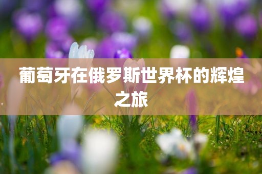 葡萄牙在俄罗斯世界杯的辉煌之旅