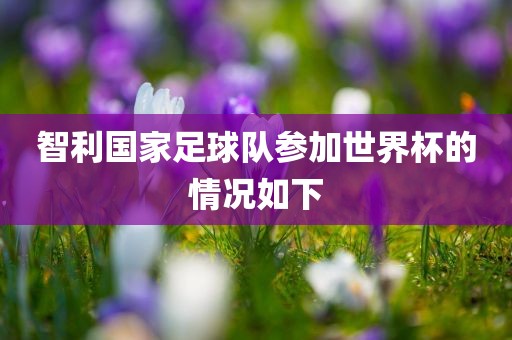 智利国家足球队参加世界洛阳市法福文化传播有限公司杯的情况如下