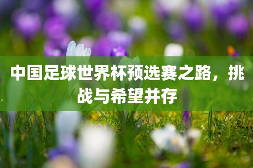 中国足球世界杯预选赛之路，挑战与希望并存