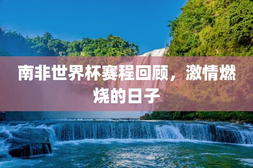 南非世界杯赛程回顾，激情燃烧的日子