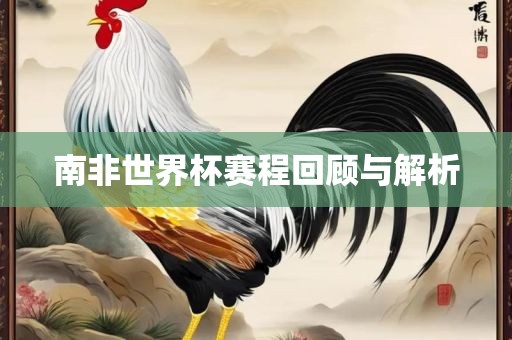 南非世界杯赛程回顾与解析