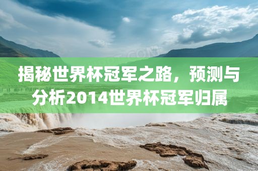 揭秘世界杯冠军之路，预测与分析2014世界杯冠军归属