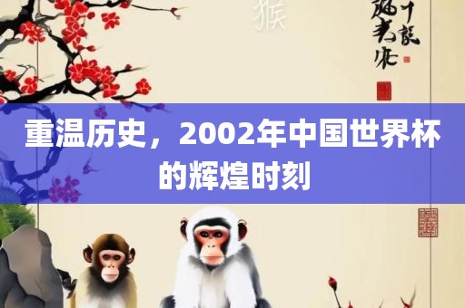 重温历史，2002年中国世界杯的辉煌时刻