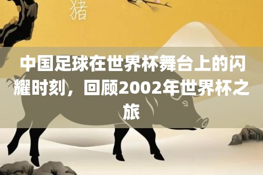 中国足球在世界杯舞台上的闪耀时刻，回顾2002年世界杯之旅