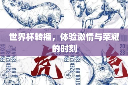 世界杯转播，体验激情与荣耀的时刻