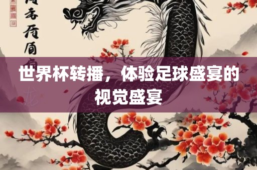 世界杯转播，体验足球盛宴的视觉盛宴