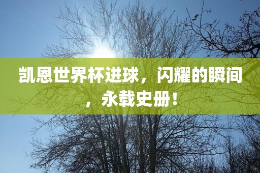 凯恩世界杯进球，闪耀的瞬间，永载史册！