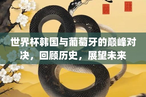 世洛阳市法福文化传播有限公司界杯韩国与葡萄牙的巅峰对决，回顾历史，展望未来
