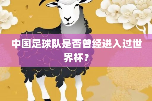 中国足球队是否曾经进入过世界杯？