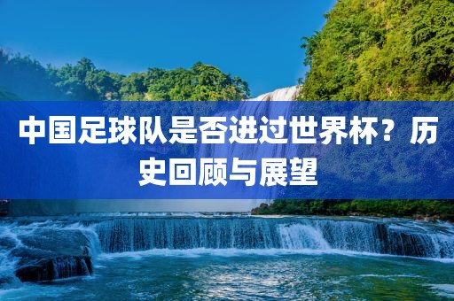 中国足球队是否进过世界杯？历史回顾与展望洛阳市法福文化传播有限公司
