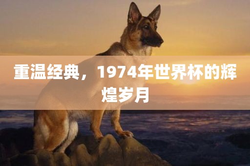 重温经典，1974年世界杯的辉煌岁月