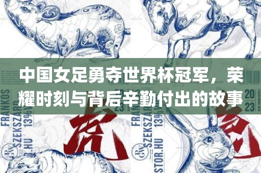中国女足勇夺世界杯冠军，荣耀时刻与背后辛勤付出的故事
