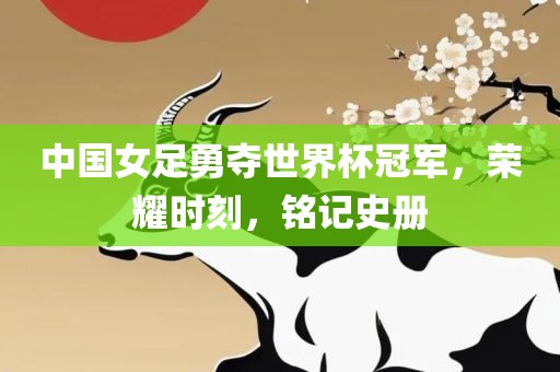 中国女足勇夺世界杯冠军，荣耀时刻，铭记史册